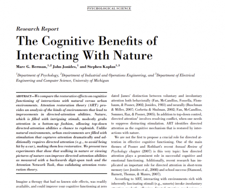 The Cognitive Benefits Of Interacting With Nature High Performance The Cognitive Benefits Of Interacting With Nature High Performance